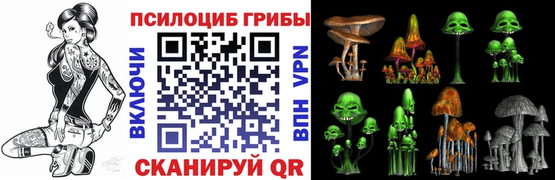 Купить  Краснокамск  Псилоцибиновые грибы мицелий 